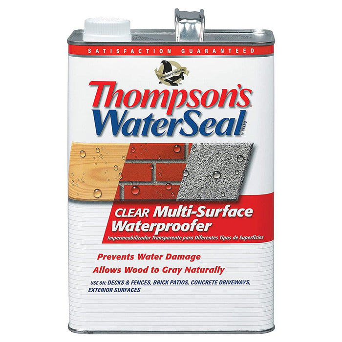 Thompson's WaterSeal 1GAL
