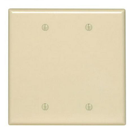 Face Plate Blank Double Ivory