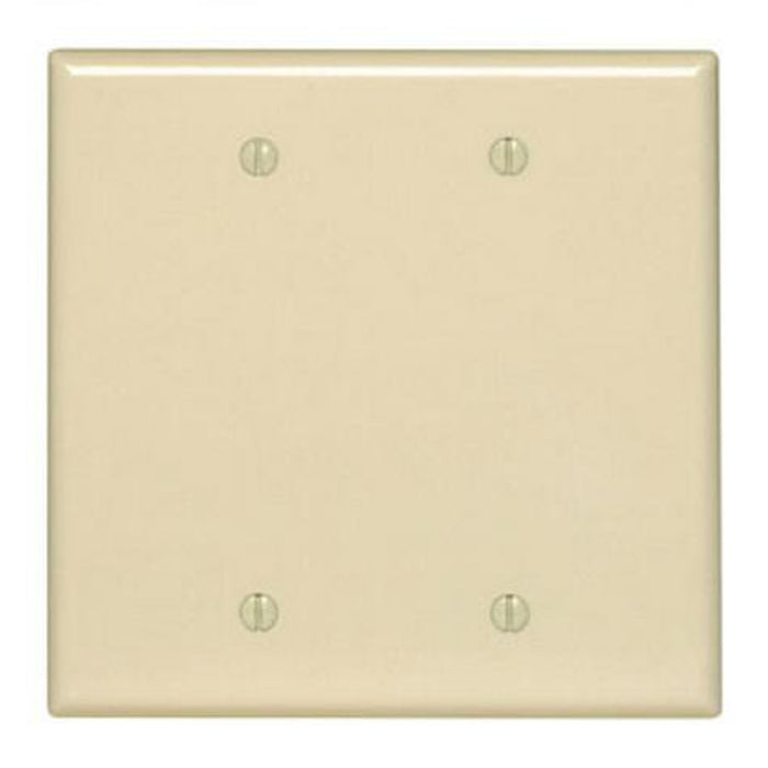 Face Plate Blank Double Ivory