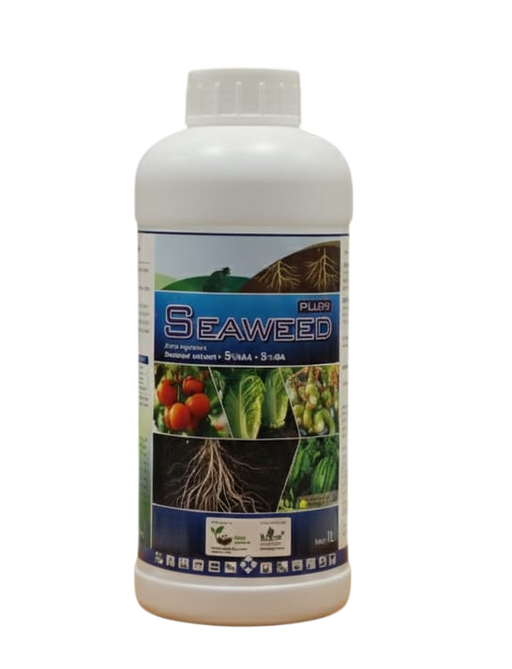 Seaweed Plus+