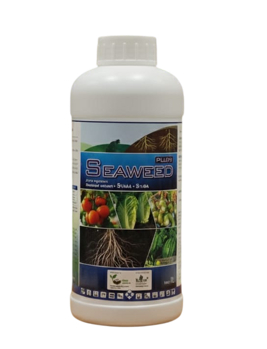 Seaweed Plus+
