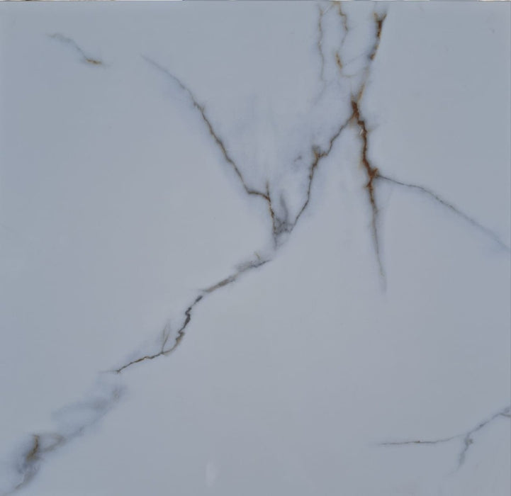 #46045 Ceramic Wall and Floor Tile 18"X18"