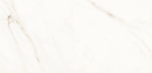 OPERA WH POL Porcelain Wall And Floor Tile 60"X120"