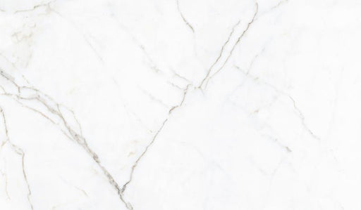 65002 Thassos Ceramic Floor & Wall 24" X 41"