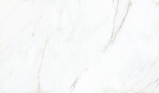 65002 Thassos Ceramic Floor & Wall 24" X 41"