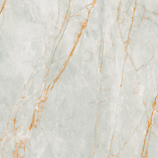 Gold Fantasy SGN POL (5062670) Porcelain Floor and Wall Tile 47" X 47"