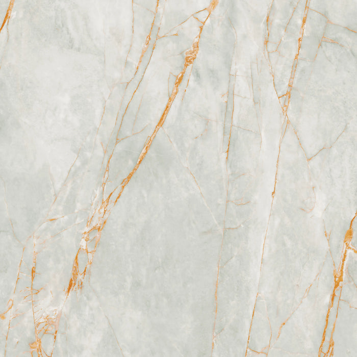 Gold Fantasy SGN POL (5062670) Porcelain Floor and Wall Tile 47" X 47"