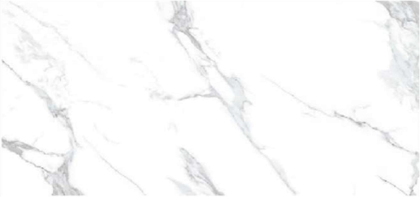 Aline Calcutta Porcelain Floor and Wall Tile 24" X 48"