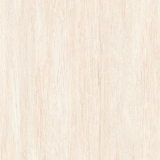 Altino PO RT Ceramic Floor and Wall Tile  29" X 29"