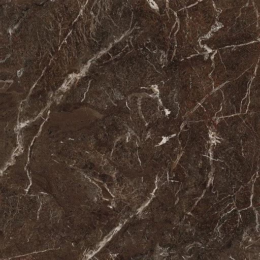 Baldonia PO RT Ceramic Floor and Wall Tile 29"X29"