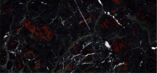 Black Ombra Porcelain Floor and Wall Tile 24" X 48"