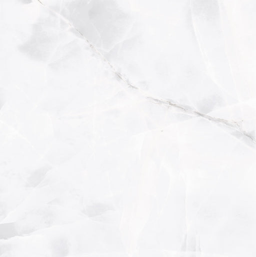 Grey Onyx HD56584 Ceramic Floor Tile 22X22