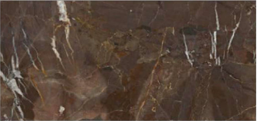 Jasper Brown Porcelain Floor and Wall Tile 24" X 48"