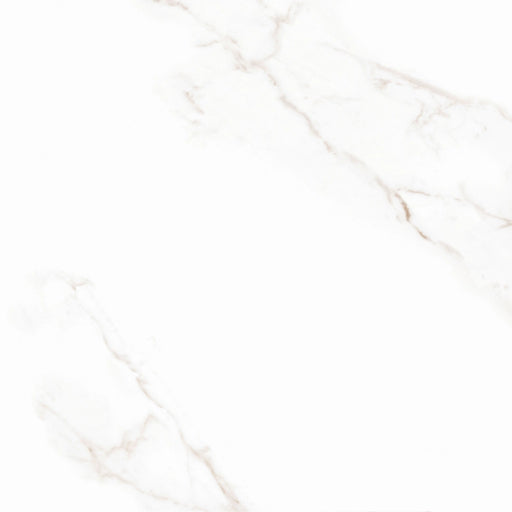 Narbona AC RT Ceramic Floor and Wall Tile 30" X 30"