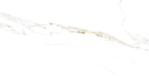 Paladino Polido Porcelain Floor and Wall Tile 22" X 44"