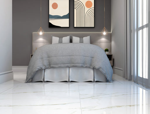 Paladino Polido Porcelain Floor and Wall Tile 22" X 44"