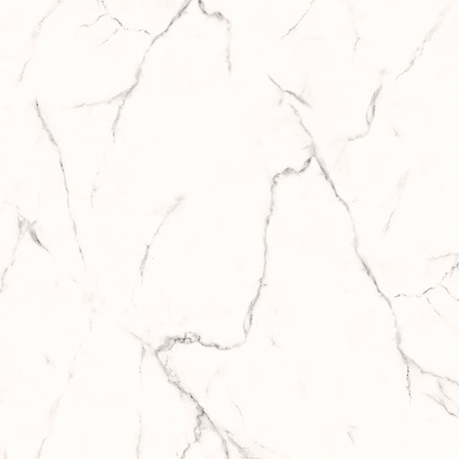 Piazza Plus Ceramic Floor and Wall Tile 24" X 24"