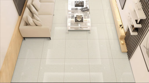 Ravanna Glossy Porcelain Floor  24" X 24"
