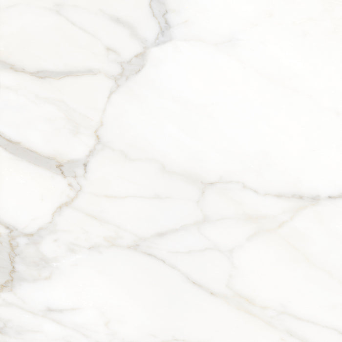 Valencia Ceramic Floor And Wall Tile 24"X24"