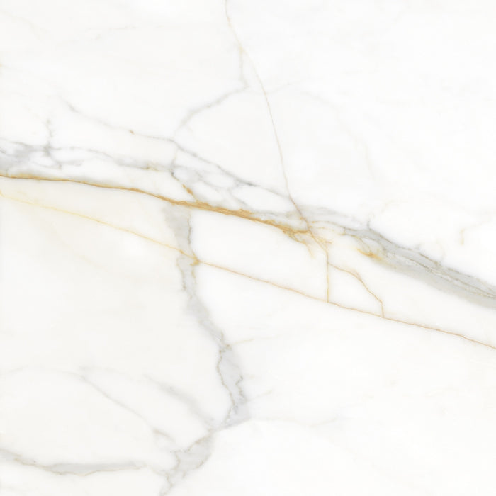 Valencia Ceramic Floor And Wall Tile 24"X24"