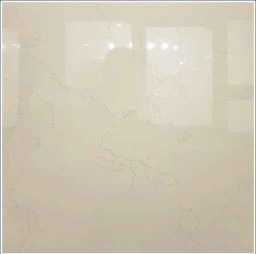 Ravanna Glossy Porcelain Floor  24" X 24"