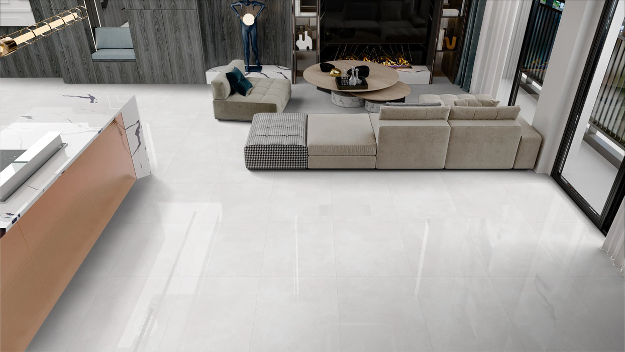 Elio White Porcelain Floor and Wall Tile 24" X 24"