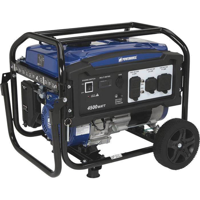 Powerhorse Portable Generator, 4500 Surge Watts, 3600 Rated Watts