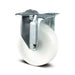 Fixed Caster 3.94"