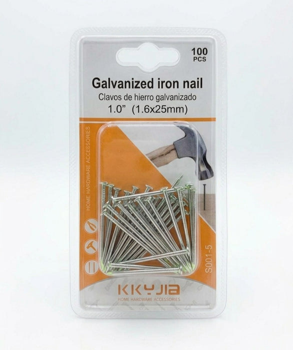 Galvanized Iron Nail 1.0" 100 Pcs