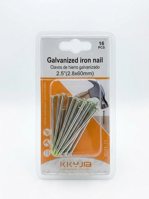 Galvanized Iron Nail 2.5" 16 Pcs