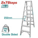 Total Double Side Ladder THLAD01071
