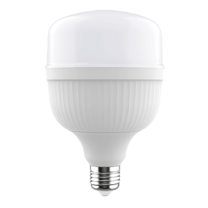 Everbrite LED Builb 50W EVB-50H