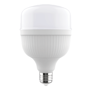 Everbrite LED Builb 50W EVB-50H