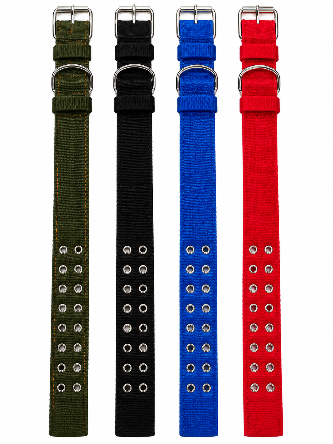 Dog Collars and Leashes