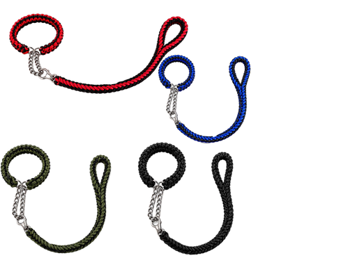 Dog Leash With Collar E33-32