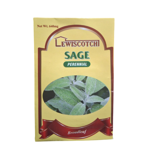 Lewiscotch Sage Perennial Seeds