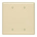 Face Plate Blank Double Ivory