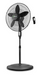 Wintek 18" Standing Fan (WS-1822R)
