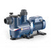Pedrollo Pool Pump Magnifica 3m cod. - 43MA031A1