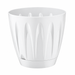 White Daisy Flowers Pot - 11"