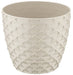 Kapadokya 2 in 1 Cream Flowers Pot - 5.5"