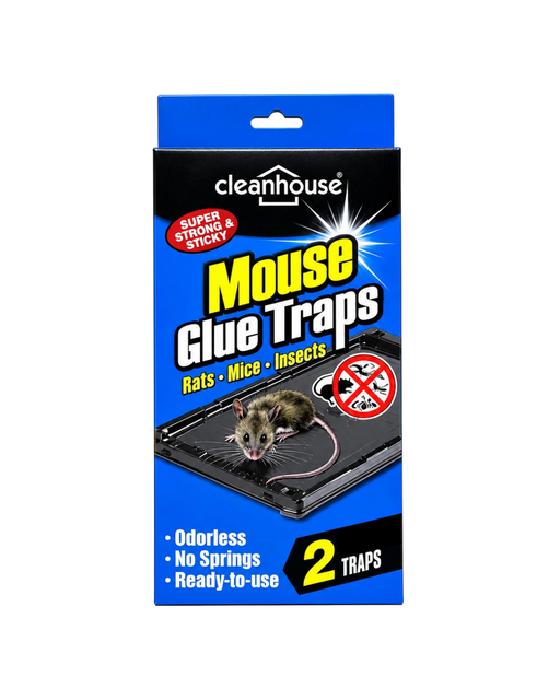 CleanHouse Mouse Glue Traps 2Pk