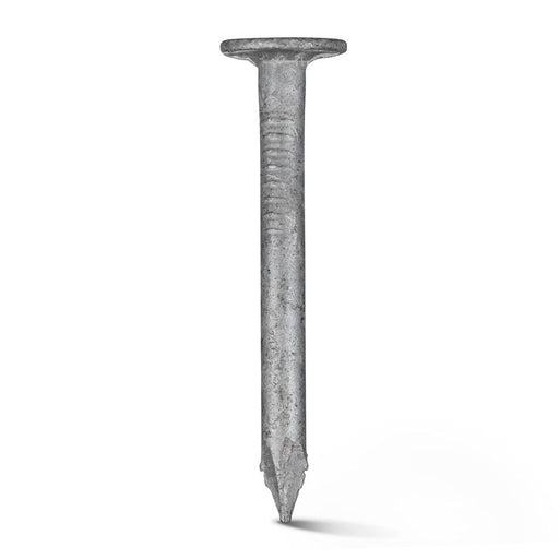 Galvanised Clouted Nail 1/2" (LB)