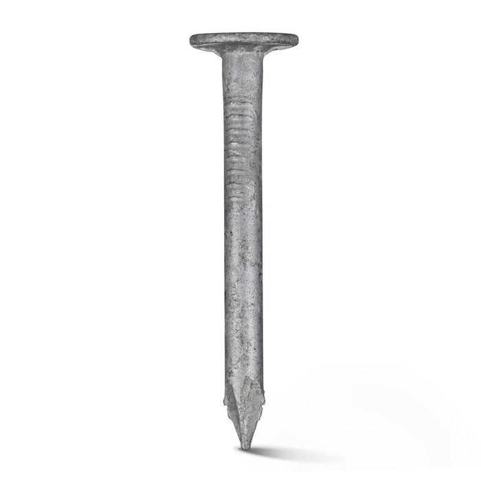 Galvanised Clouted Nail 3/4" (LB)