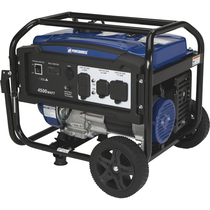 Powerhorse Portable Generator, 4500 Surge Watts, 3600 Rated Watts