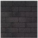 Fiberglass Shingles | Dual Black