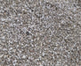 1/2" Crushed Stone (YRD)