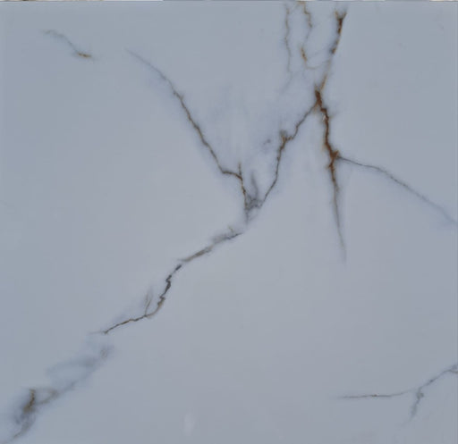 #46045 Ceramic Wall and Floor Tile 18"X18"