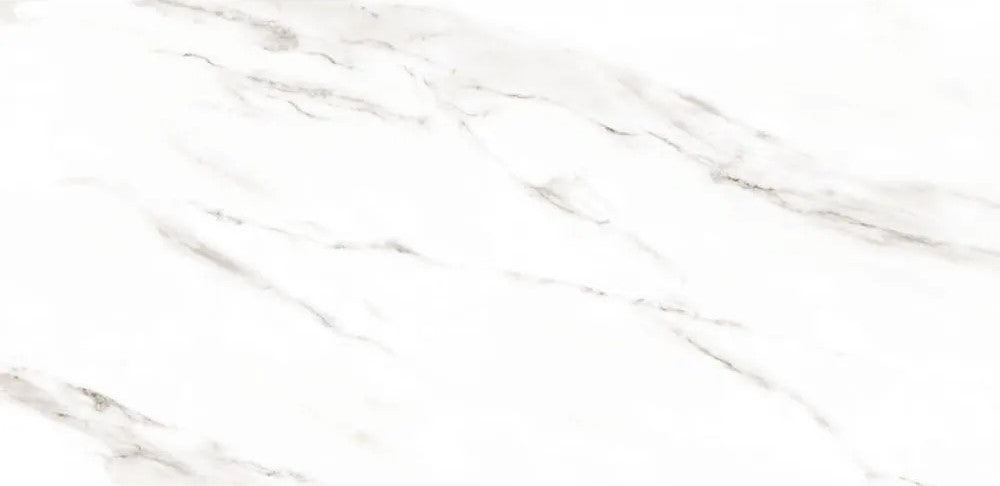 51000 Floor and Wall Tile 20"X45"