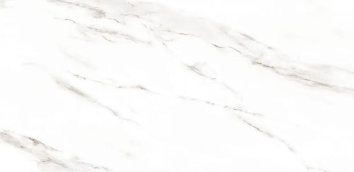 51000 Floor and Wall Tile 20&quot;X45&quot;